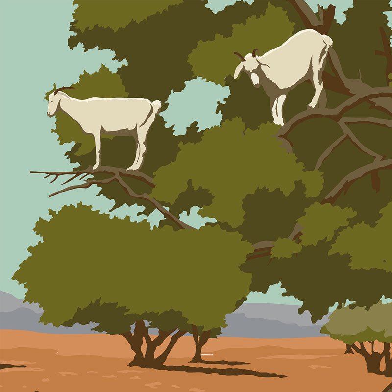 argan tree poster, argan tree print, morocco vintage print